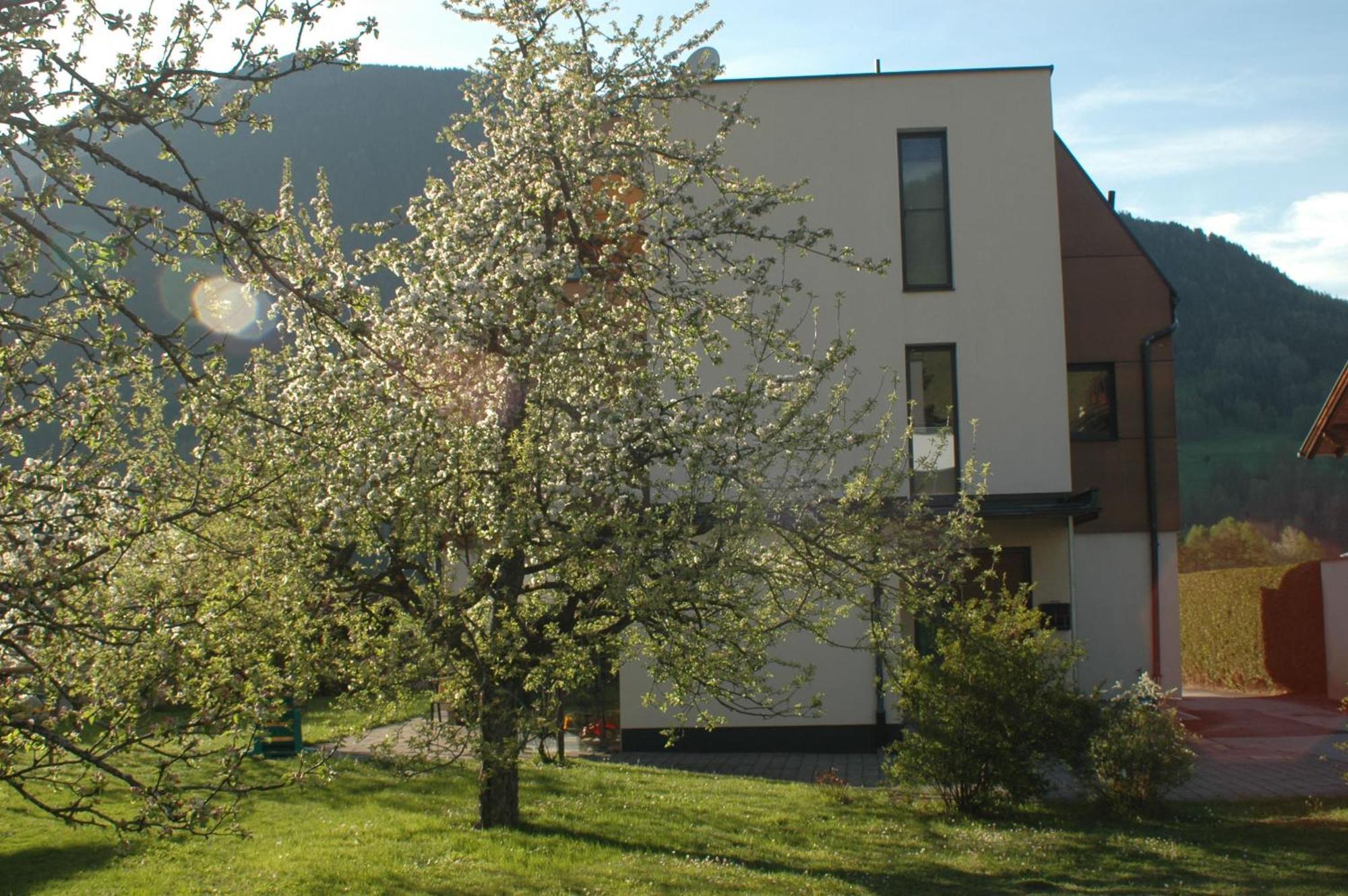 Haus Hofer Apartman Mieders Kültér fotó